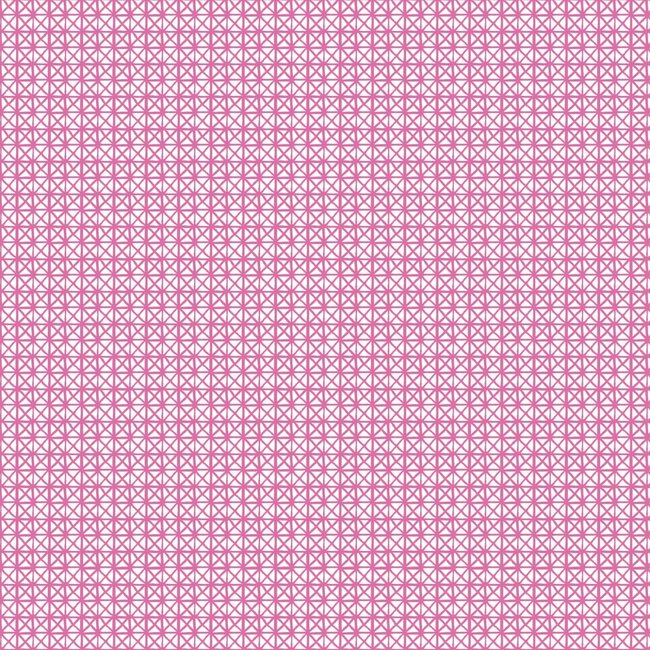 2Lif Andy Zelfklevende Folie Mini rol roze 45cmx2mtr