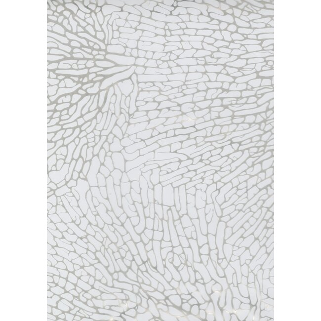 2Lif Ariel Statische raamfolie Mini rol transparant 45cmx1,5mtr