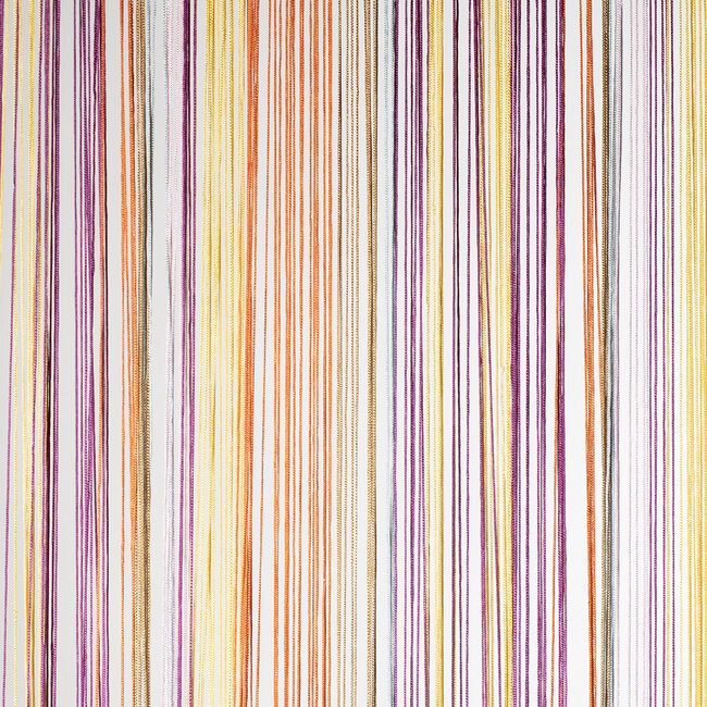 2Lif Finca Vliegengordijn multi 90x200cm