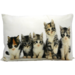 Mars & More canvas kussen kittens 35x50cm