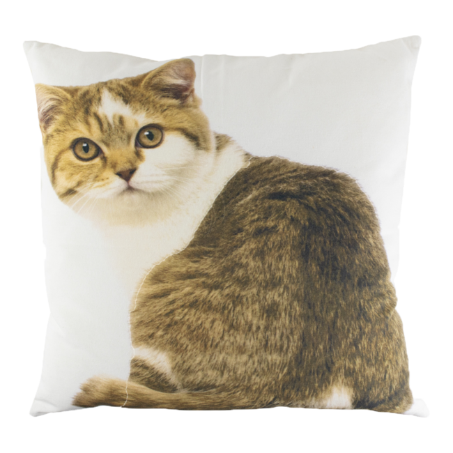 Mars & More *canvas kussen tabby wit 50x50cm*