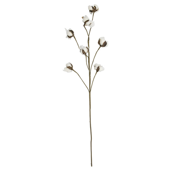 Mars & More siertak katoenplant 80cm*