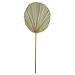 Mars & More *palmblad tak gedroogd 50cm*