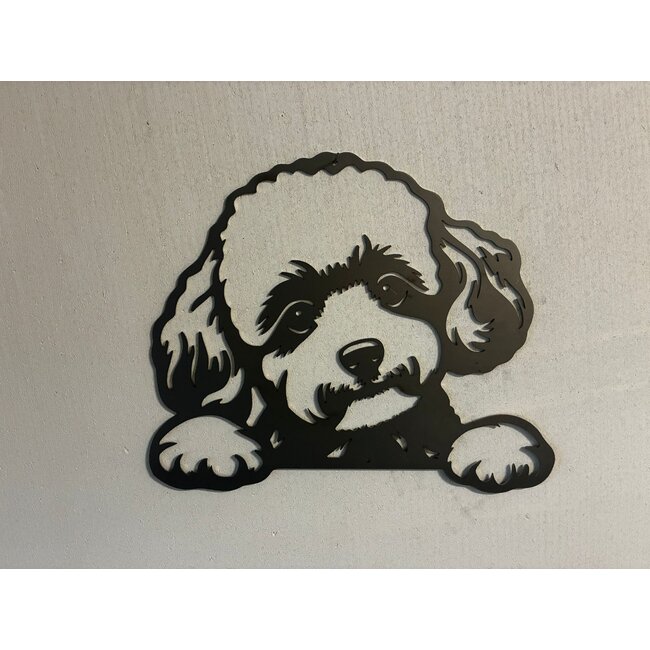 Siermetaal Wanddecoratie metaal Toy Poedel 37 x 30 cm