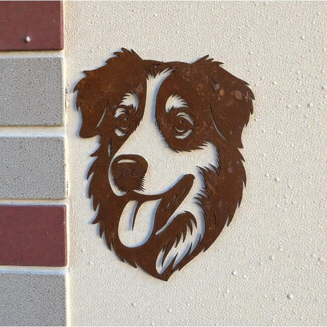 Siermetaal Wanddecoratie metaal Australian shepherd 37 x 31 cm