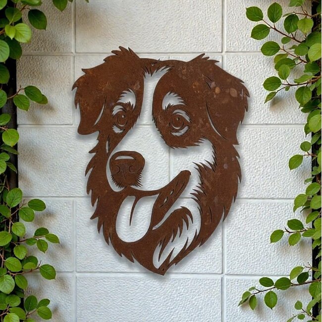 Siermetaal Wanddecoratie metaal Australian shepherd 37 x 31 cm