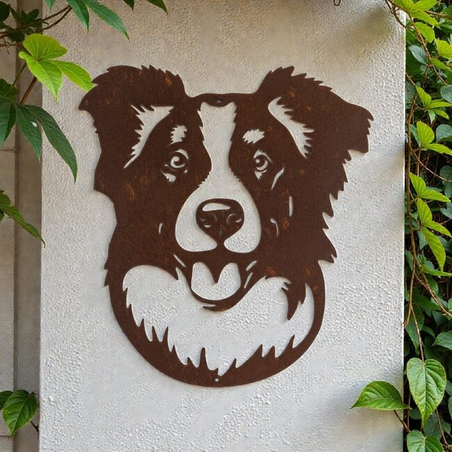 Siermetaal Wanddecoratie metaal Bordercollie Finn 33 x 29 cm