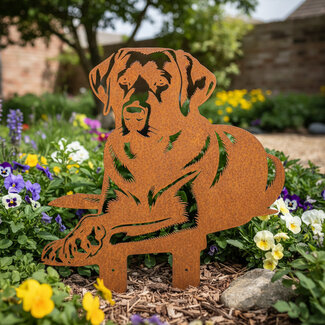 Siermetaal Tuindecoratie Labrador Liggend- levensgroot - 64 cm x 71 cm