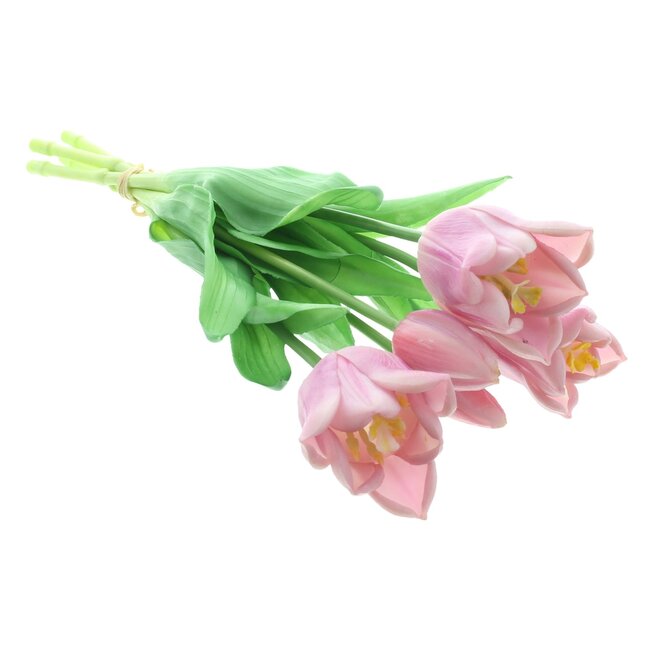 Dream-Living Decoratie tulpen roze 5 stuks