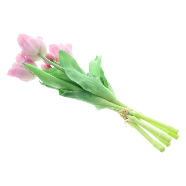 Dream-Living Decoratie tulpen roze 5 stuks