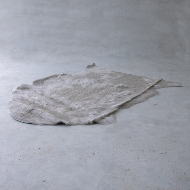 Mars & More vacht geit grijs