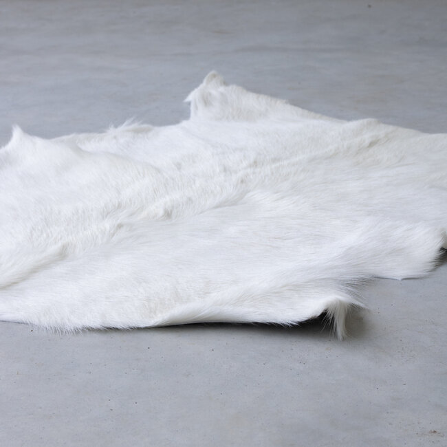 Mars & More vacht geit wit