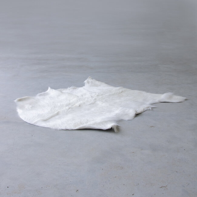 Mars & More vacht geit wit