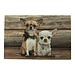 Mars & More deurmat hout chihuahuas 75x50cm