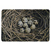 Mars & More deurmat eieren in nest 75x50cm