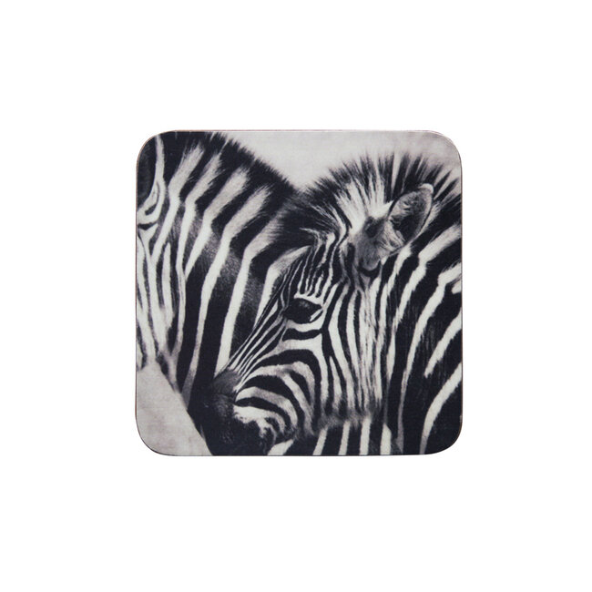 Mars & More *onderzetter zebra 10x10cm (6)*