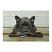 Mars & More deurmat humor franse bulldog 75x50cm