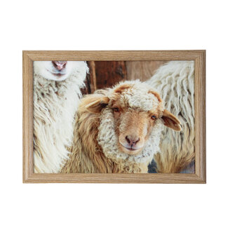 Mars & More schootkussen schaapjes beige 43cm