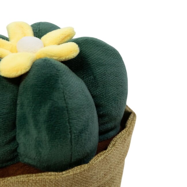 Mars & More deurstopper plant cactus h23