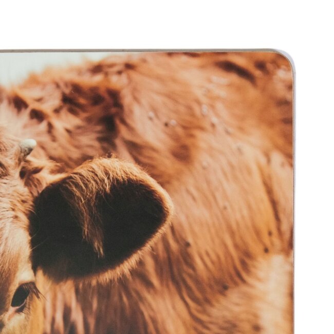 Mars & More Placemat Zwitserse Koe in de wei 30x40cm (set van 4)