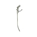 Mars & More schoenlepel hert 52cm
