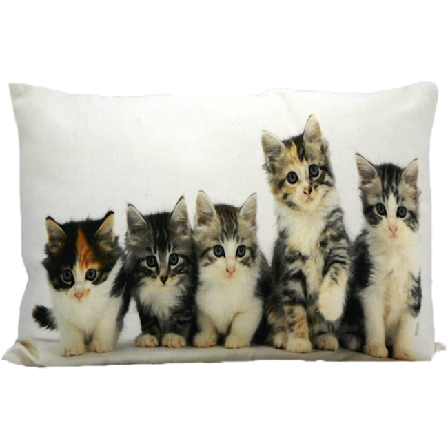 Mars & More canvas kussen kittens 35x50cm