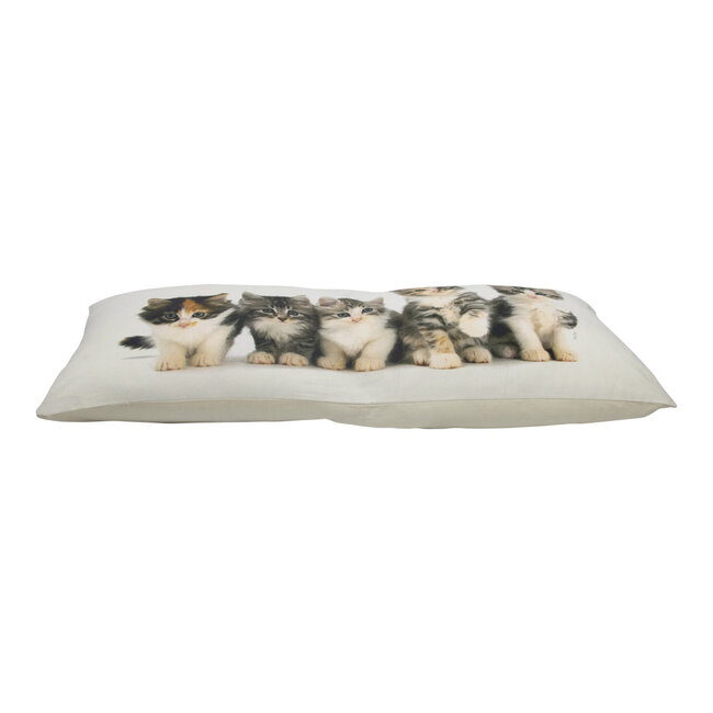 Mars & More canvas kussen xxl kittens 40x90cm*