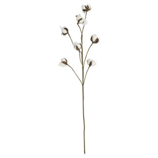 Mars & More siertak katoenplant 80cm*