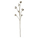 Mars & More siertak katoenplant 80cm*