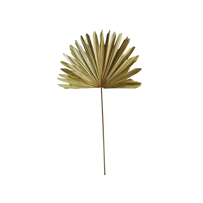 Mars & More *palmblad tak gedroogd 103cm*