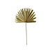 Mars & More *palmblad tak gedroogd 103cm*