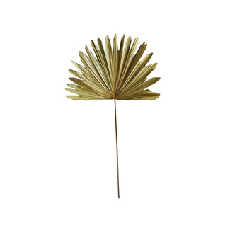 Mars & More *palmblad tak gedroogd 96cm*