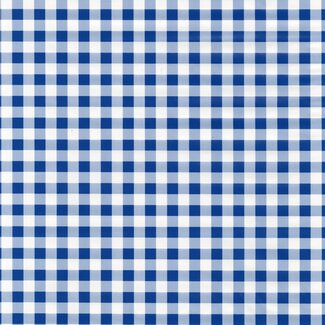 2Lif Check Zelfklevende Folie Mini rol blauw 45cmx2mtr