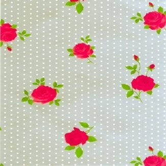 2Lif Snazzy Dots&Roses Zelfklevende Folie Mini rol zilver 45cmx2mtr