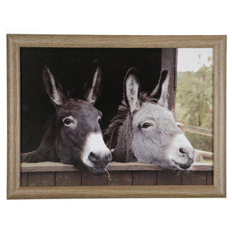 Mars & More schootkussen 2 ezels 43cm