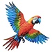 Dream-Living Kleurrijke papegaai  wanddecoratie 53 x 45 cm