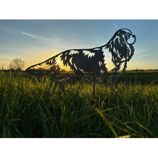 Cavalier King Charles Spaniël - Levensecht