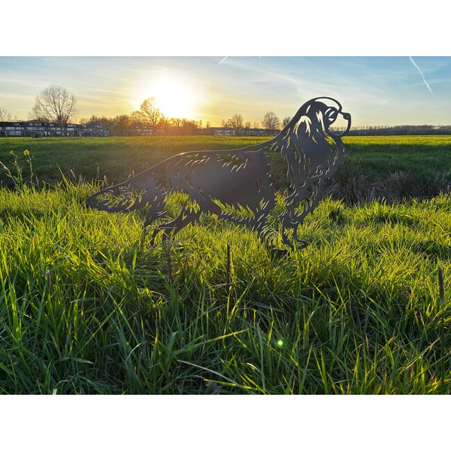 Siermetaal  Tuindecoratie Cavalier King Charles Spaniël 89x71 cm