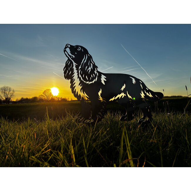 Cocker Spaniël - Levensecht