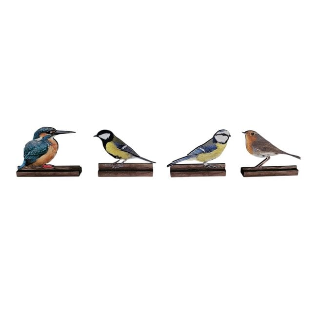 Dream-Living Decoratieve set van 4 houten vogels op plankje – Pimpelmees, Koolmees, IJsvogel en Roodborstje