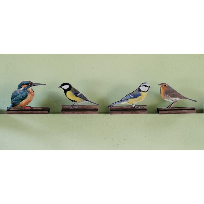 Dream-Living Decoratieve set van 4 houten vogels op plankje – Pimpelmees, Koolmees, IJsvogel en Roodborstje