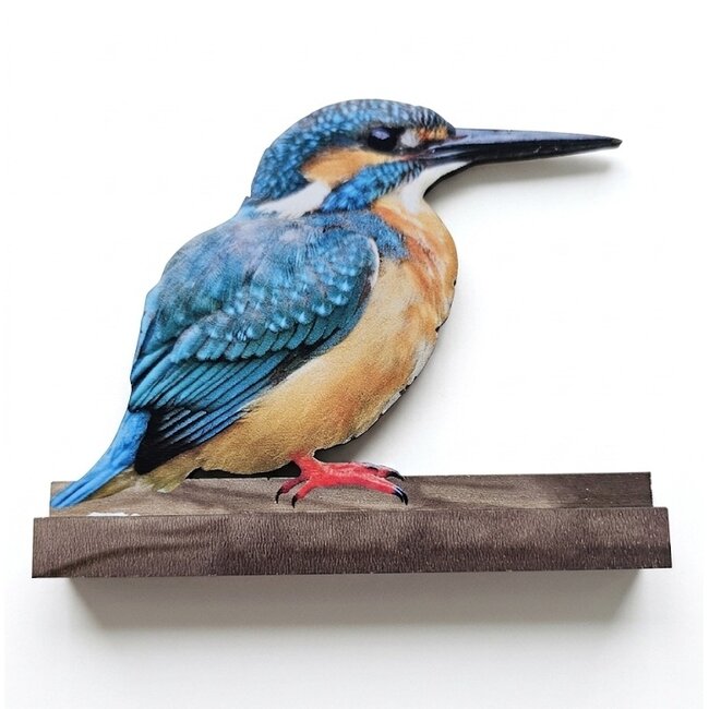 Dream-Living Decoratieve set van 4 houten vogels op plankje – Pimpelmees, Koolmees, IJsvogel en Roodborstje