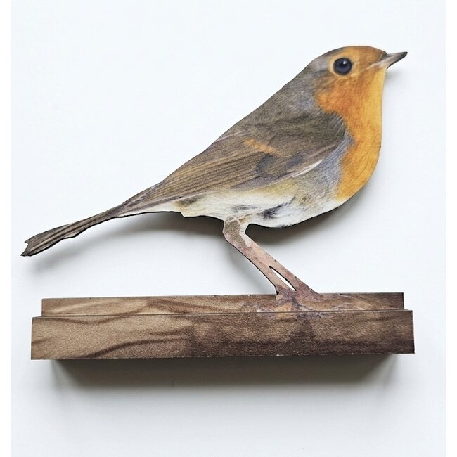 Dream-Living Decoratieve set van 4 houten vogels op plankje – Pimpelmees, Koolmees, IJsvogel en Roodborstje