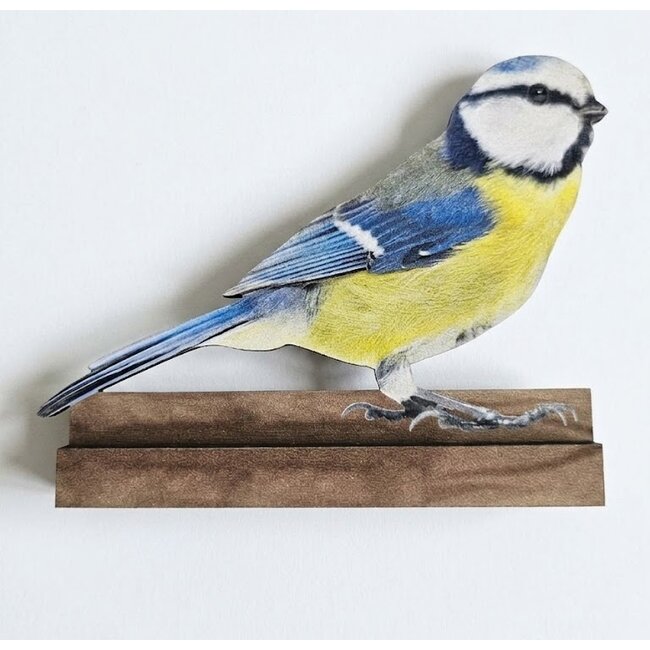 Dream-Living Decoratieve set van 4 houten vogels op plankje – Pimpelmees, Koolmees, IJsvogel en Roodborstje