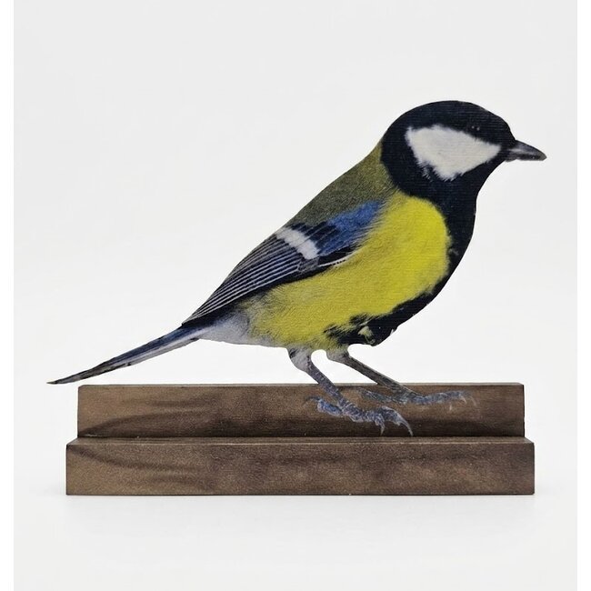 Dream-Living Decoratieve set van 4 houten vogels op plankje – Pimpelmees, Koolmees, IJsvogel en Roodborstje