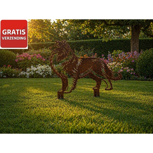 Siermetaal Tuindecoratie Schotse Collie metaal 70,7 x 74,6 cm