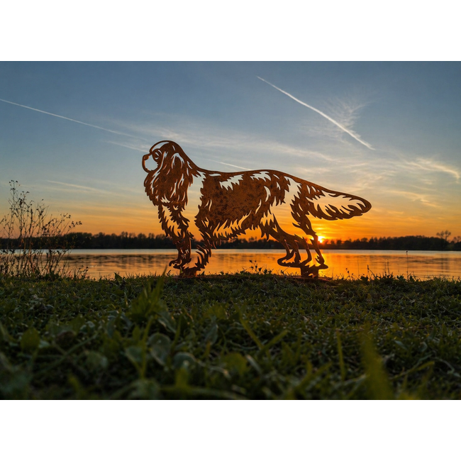 Siermetaal  Tuindecoratie Cavalier King Charles Spaniël 89x71 cm
