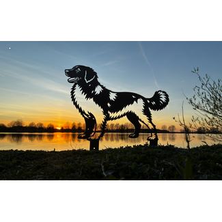 Friese Stabij - Levensecht