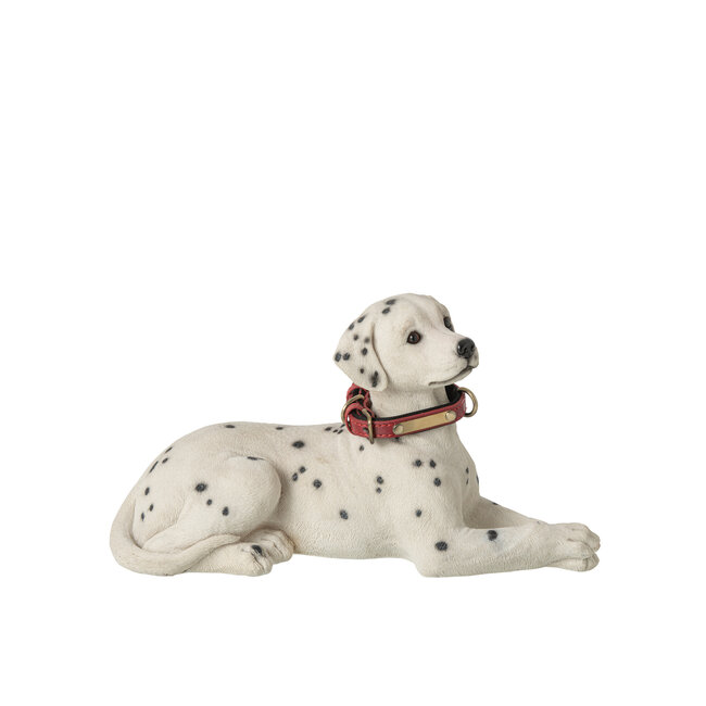 J-Line Dalmatiër liggend, polyhars, wit/zwart