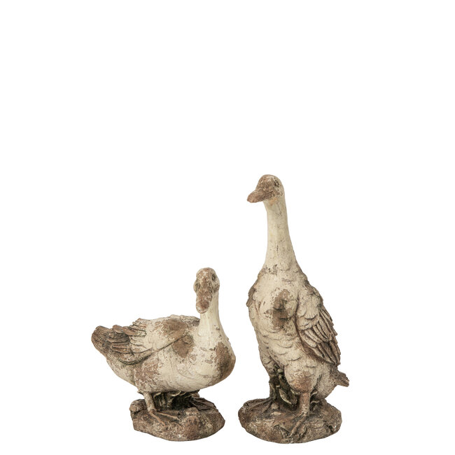 J-Line Goose Outdoor Magnesium Ecru/Beige